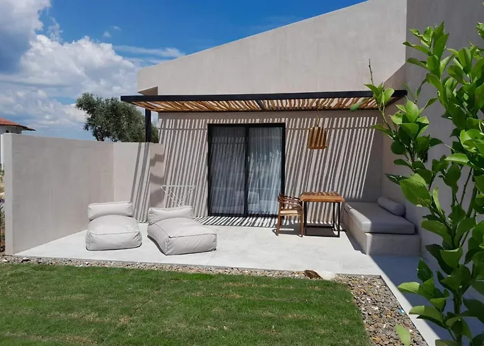 Pure אורמוס פנגיאס